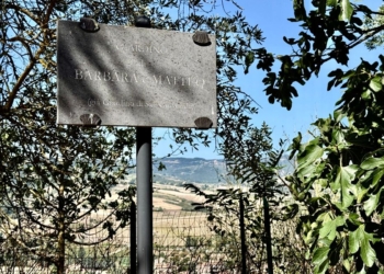 “Le Istituzioni hanno il dovere di sostenere le richieste dei familiari delle vittime del terremoto del 2016”