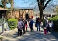 Turismo, nel secondo trimestre 2026 crescono ancora arrivi e presenze a Orvieto