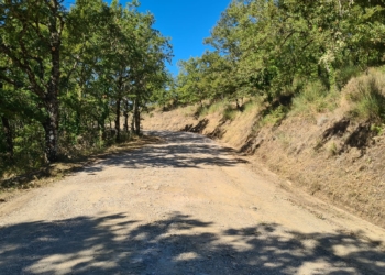 Provincia, viabilità: iniziati i lavori di bitumatura della Strada comunale delle Felcete a San Venanzo