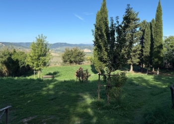 Al via i lavori di riqualificazione dell’area verde di San Giovenale