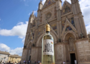 L’Orvieto DOC a Praga, Piacenza e Milano: tre tappe per promuovere la denominazione